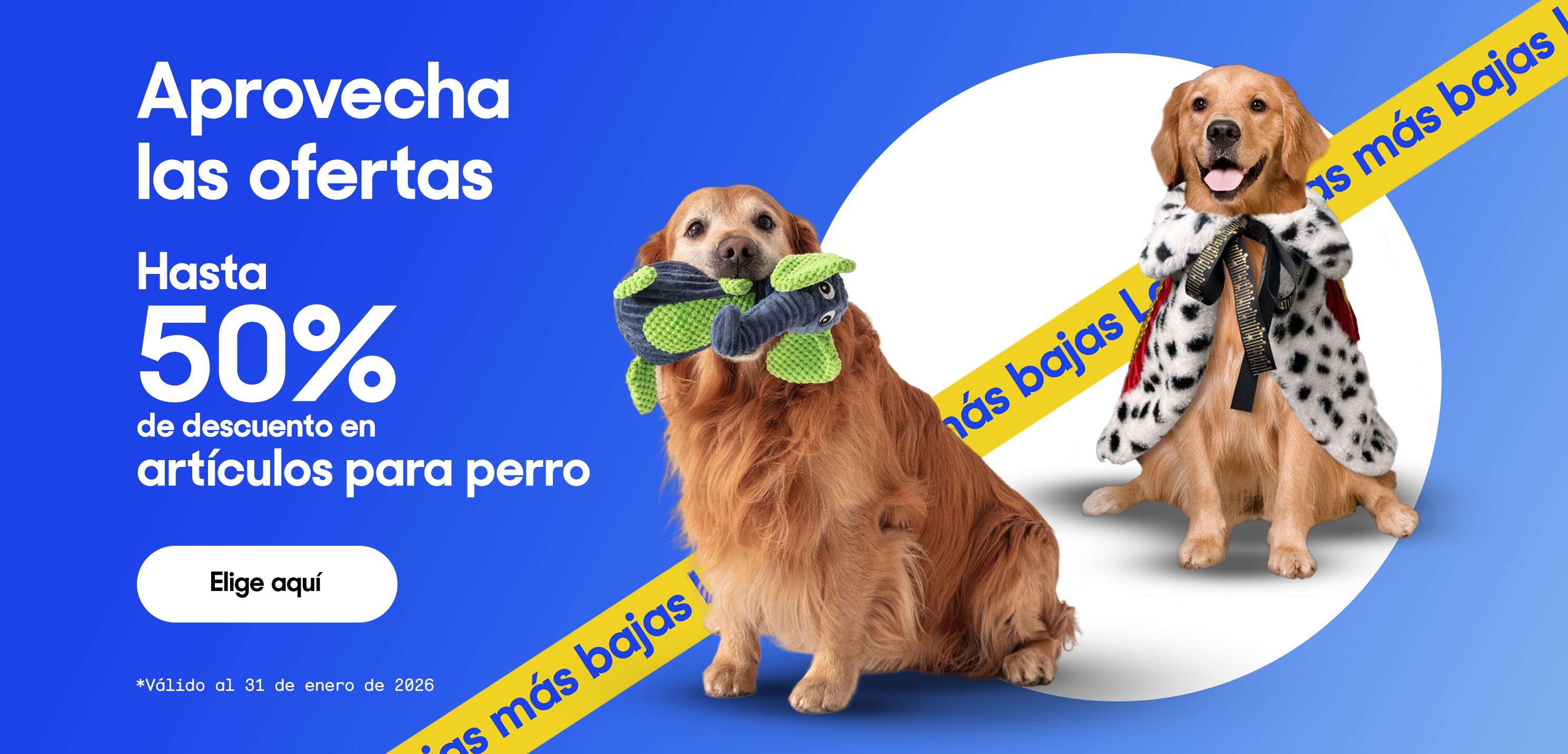 Aprovecha las ofertas. Hasta 50% de descuento en artículos para perro. *Válido al 31 de enero de 2026. Pulsa aquí para ver más.