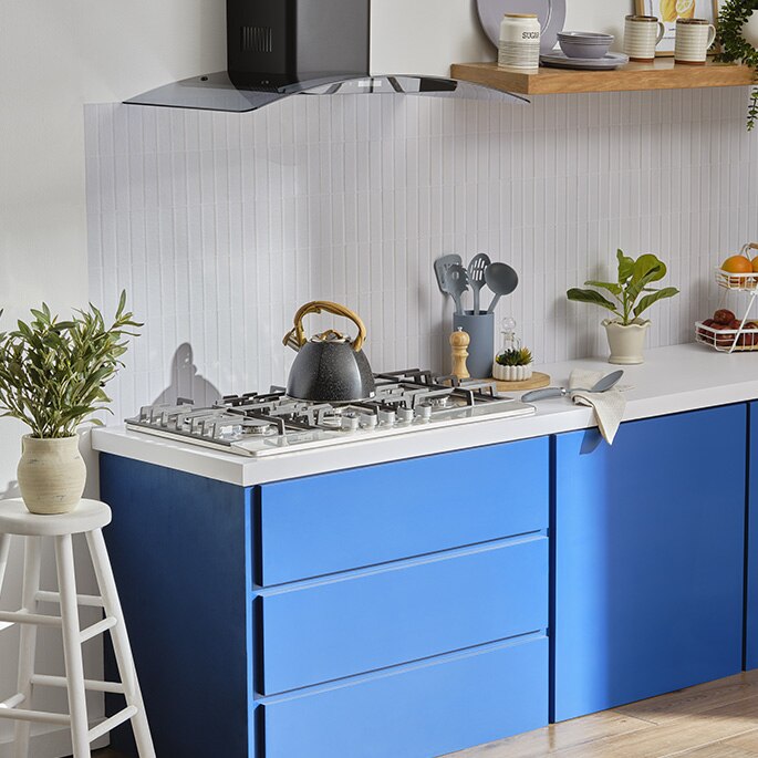 Empotre. Pulsa aquí para ver variedad.