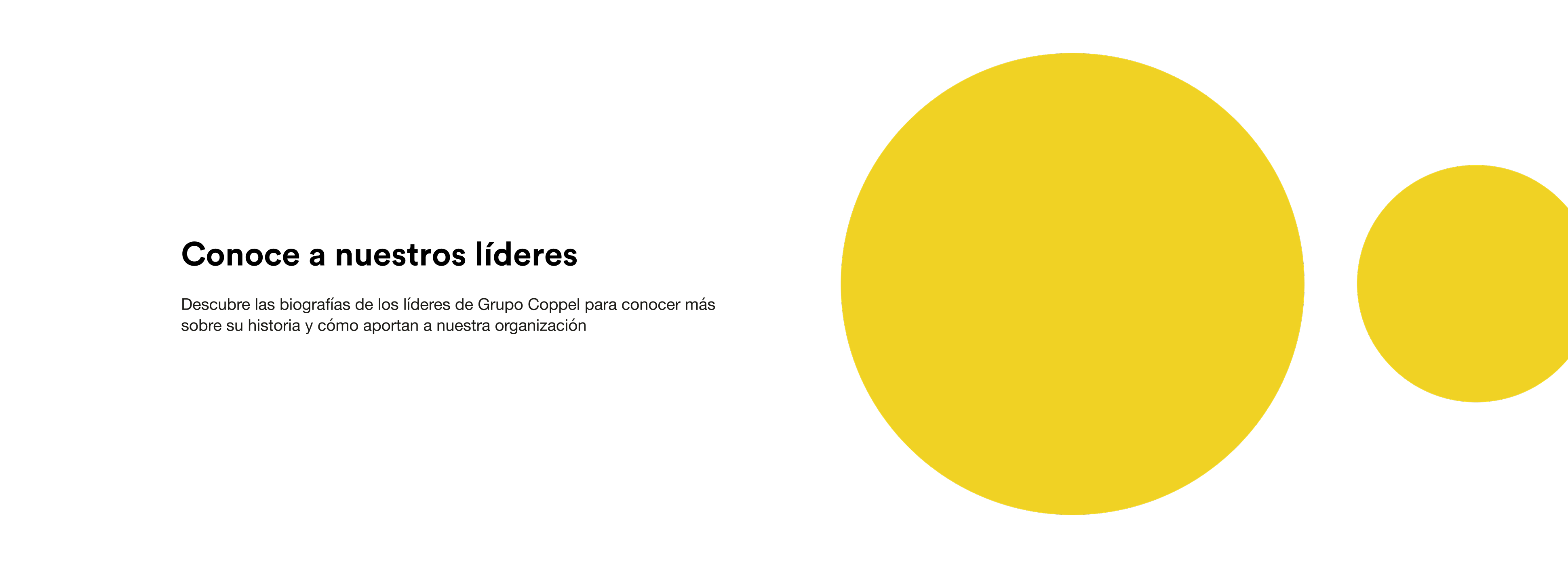 Conoce a nuestros líderes.