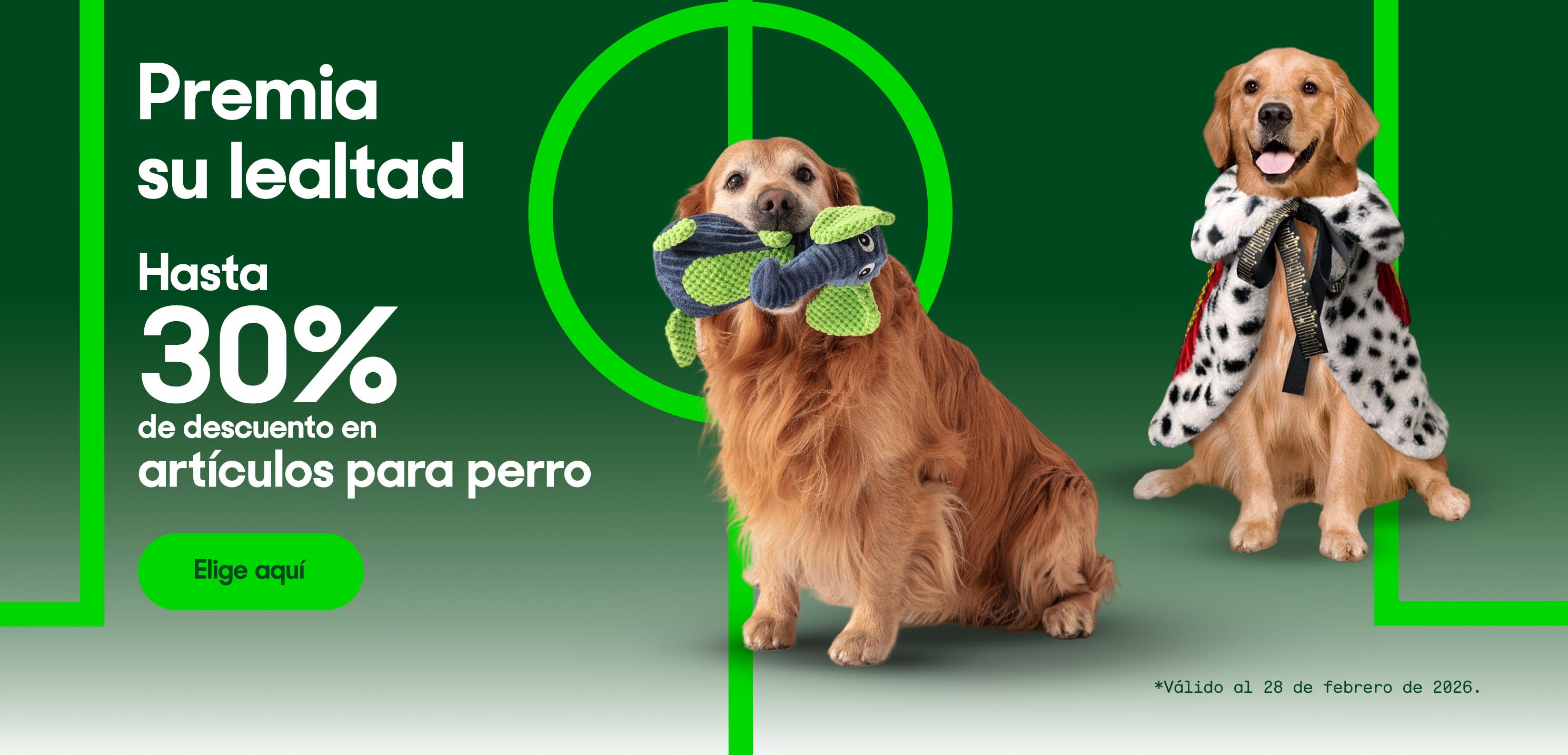 Premia su lealtad. Hasta 30 por ciento de descuento en artículos para perro. Válido al 28 de febrero de 2026. Pulsa aquí para elegir.