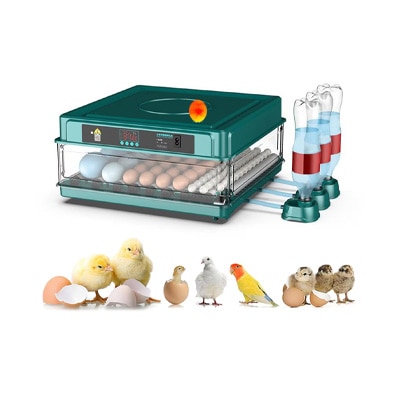 Animales de granja. Pulsa aquí para ver productos. 