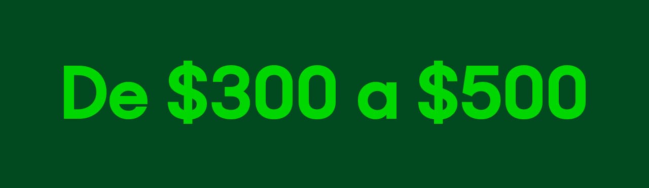 De 300 pesos a 500 pesos. Pulsa aquí para ver productos.