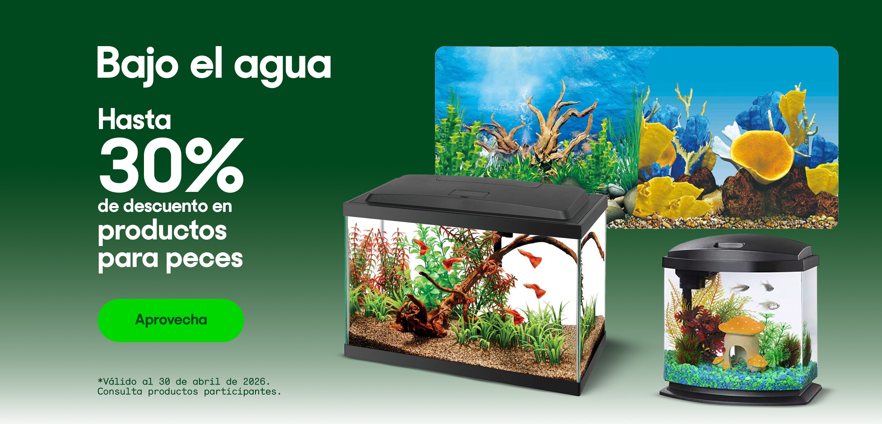 Bajo el agua. Hasta 30% de descuento en productos para peces. *Válido al 30 de abril de 2026. Pulsa aquí para ver más.