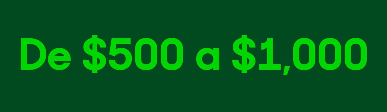 De 500 pesos a mil pesos. Pulsa aquí para ver productos.