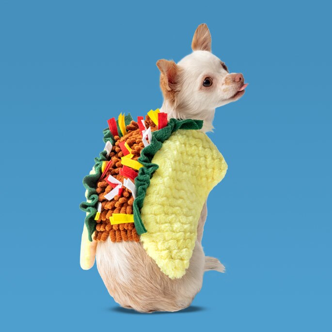 Ropas y disfraces. Pulsa aquí para ver productos. 