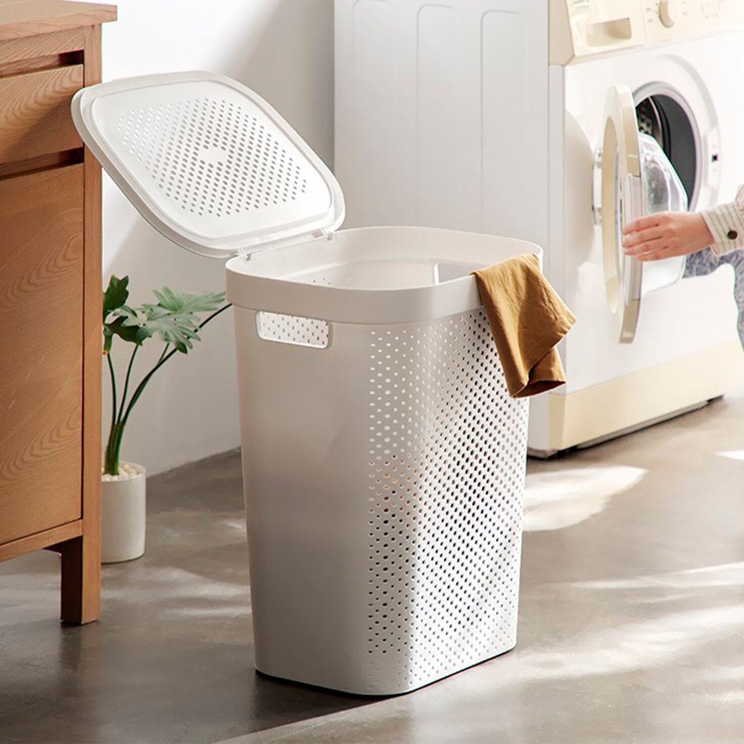 Pulsa aquí para ver organizadores para cuarto de lavado.