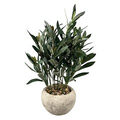 Plantas artificiales. Pulsa aquí para descubrirlas. 