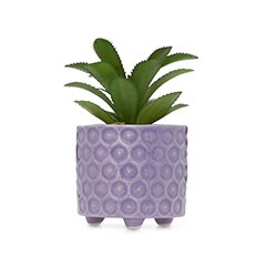 Plantas artificiales. Pulsa aquí para descubrirlas.