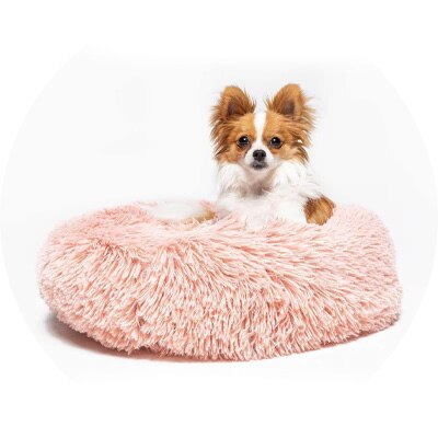 Camas. Pulsa aquí para ver productos. 