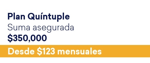 Plan quíntuple.