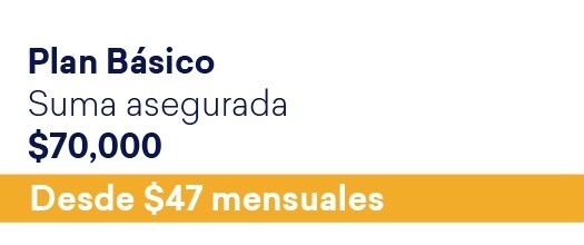 Plan básico.