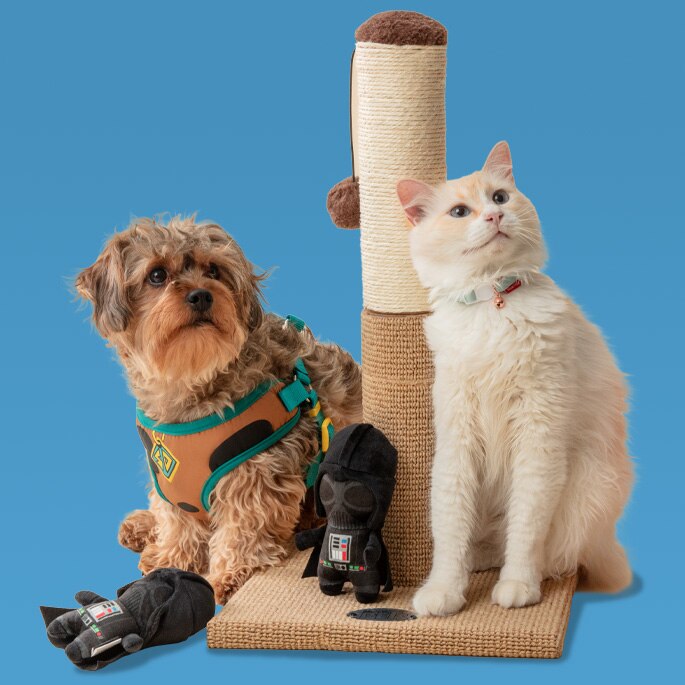 Juguetes. Pulsa aquí para ver productos. 